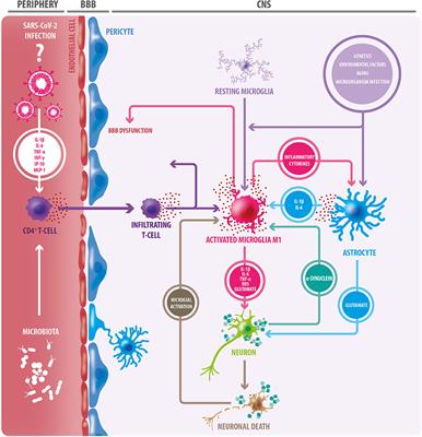 The Potential Role of SARS-COV-2 in the Pathogenesis of Parkinson's Disease